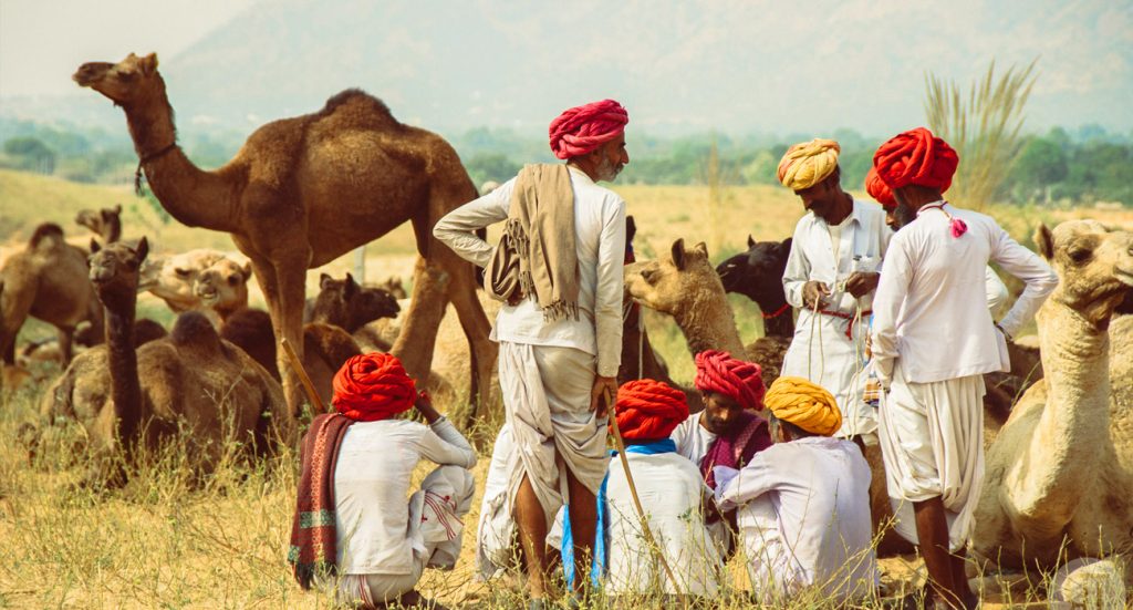 pushkar1